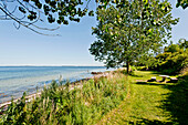 Baltic Sea near by Norgaardholz, Schleswig-Holstein, Germany