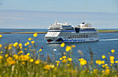 Cruise ship AIDA Mar Off shore, Reykjavik, Iceland, Europe