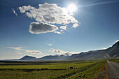 Landscape beneath the Snaefellsjoekull, South coast, Snaefellsnes peninsula, West Iceland, Europe