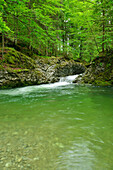 Gebirgsbach Prien fließt durch enges Bachbett, Priental, Chiemgau, Chiemgauer Alpen, Oberbayern, Bayern, Deutschland