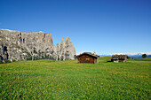 Flowering meadow and hay barn in front of Schlern and Rosszaehne, Seiseralm, Dolomites, UNESCO world heritage site Dolomites, South Tyrol, Italy