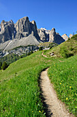 Path leading towards Sella range, Sella, Dolomites, UNESCO world heritage site Dolomites, South Tyrol, Italy
