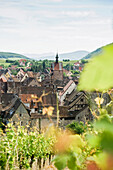 Panoramic view of Riquewihr over vineyards, Riquewihr, Alsace, France
