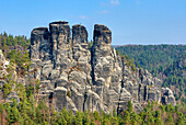 Blick vom Bastei Felsen auf Wald und Felsformationen, Elbsandsteingebirge, Sächsische Schweiz, Sachsen, Deutschland, Europa
