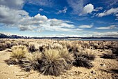 USA, California, Eastern Sierra Nevada Area, Lee Vining, Mono Lake, mountain landscape