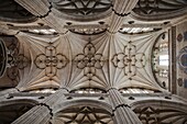 Spain, Castilla y Leon Region, Salamanca Province, Salamanca, Salamanca Cathedrals, ceiling