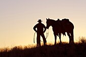 United States , Wyoming , Shell, The Hideout Guest Ranch , cow-boy 