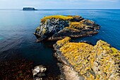 Carrick Island  Larrybane Bay  Causeway Coastal Route  Antrim County, Northern Ireland, Europe