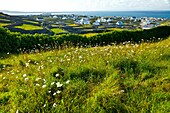 Baile An Lurgain Village  Inisheer Island - Inis Oirr  Aran Islands, Galway County, West Ireland, Europe