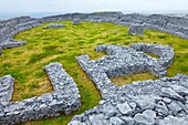 Dún Chonchúir Fort  Inishmaan Island - Inis Oirr  Aran Islands, Galway County, West Ireland, Europe