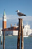 San Giorgio Island in Venice, Italy