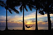 Woman in hammock, and palm trees at sunset, Coral Coast, Viti Levu, Fiji, South Pacific