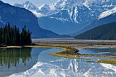 Mt  Kitchener reflected in the Beauty Creek pool near the Sunwapta River, Jasper NP, Alberta, Canada