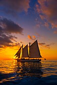 The schooner Western Union at sunset, off Key West, Florida Keys, Florida USA