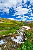 Mountain stream, American Basin, San Juan Mountains range of the Rocky Mountains, Southwest Colorado USA