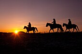 Three Cowboys on Horses at Sunrise