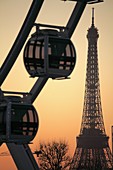 Ferries wheel in Place de la Concorde with Eiffel Tower in the background, Paris, Île-de-France, France