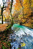 River Curak in Zeleni vir park near Skrad in Croatia, long exposure tripod shot