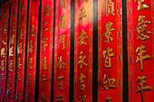 Chinese poetic banners for Chinese New Year