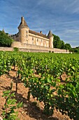 Rully castle and vineyards in Rully, Burgundy, France, Europe