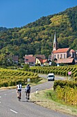 Cyclists on the road towards Husseren-les-Châteaux, Alsace, France, Europe