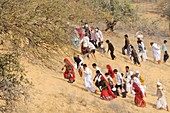 India, Rajasthan, Mukam surroundings, Jambeshwar festival, Bishnoi pilgrims climbing Samrathal dune