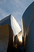 Guggenheim Museum, Bilbao, Biscay, Basque Country, Spain