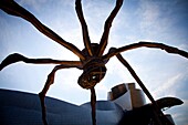 The sculpture ´MAMA´ by Louis Bourgeois at the Guggenheim Museum of Contemporary Art of Bilbao Bilbo, located on the North Coast of Spain in the Basque region  Nicknamed The Hole, this is a contemporary museum built of titanium, limestone and glass and wa