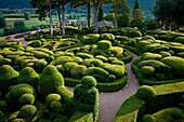 Marqueyssac gardens, chateau, Dordogne, Aquitaine, France, Europe