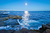 Moon over Schoodic Peninsula - Acadia National Park, Maine