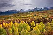 Snow clouds threaten the beautiful autumn colors carpeting the Rocky Mountains
