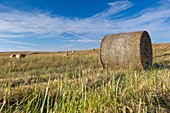 Alentejo, Portugal, Europe