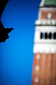 Silhouette of a dove on St Mark Square with the Campanile on the background, Venice, Italy