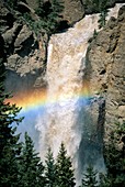 Rainbow and Tower Falls in Yellowstone National Park, Wyoming, USA