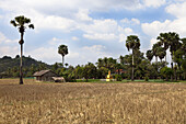 Feld mit Tempel im Hintergrund, Provinz Kampot, Kambodscha, Asien