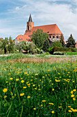 Blick über eine Wiese auf die St. Marien Kirche, Beeskow, Land Brandenburg, Deutschland, Europa