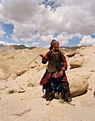 Schäferin einer Kuh und Ziegenherde mit Steinschleuder, westlich von Leh, Ladakh, Jammu und Kashmir, Indien