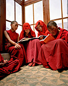 Schülerinnen im Nonnenkloster Chullichan Nunnery School, lesen im Lehrraum, am Kloster Rizong, westlich von Leh, Ladakh, Jammu und Kashmir, Indien