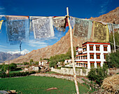 Buddistische Gebetsfahnen, im Dorf Ney liegt das Kloster Thagchokling, westlich von Leh, Ladakh, Ladakh, Jammu und Kashmir, Indien