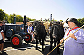 La Festa del Pais, people and oxcart on the street in St. Flour, Cantal, Auvergne, France, Europe