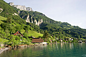 Bauen, Häuser am Ufer des Vierwaldstättersee, Kanton Uri, Schweiz, Europa
