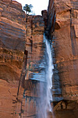 Wasserfall am Upper Emerald Pool, Zion National Park, Utah, USA, Amerika