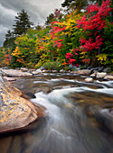 Swift river with Autumn foliage, White Mountains, New Hampshire, USA, America