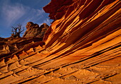 Sandsteinformation im Paria Canyon, Vermilion Cliffs Wilderness, Colorado Plateau Arizona, USA, Amerika