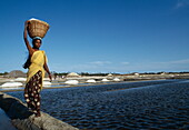 Woman carrying salt in a basket from the salines, Chennai, Tamil Nadu, India, Asia