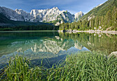 Berg Mangrt mit Spiegelung im Wasser des See Lagi di Fusine, Julische Alpen, Italien