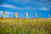 Steinkreis Ring of Brodgar, Orkney Islands, Schottland, Großbritannien, Europa
