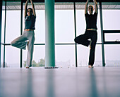 Yoga exercise, Langenlois, Lower Austria, Austria