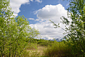 Awatschinsky, Avachinskaya Sopka and Korjaksky, Korjakskaya Sopka, volcanos on the Kamtschatka peninsula, Kamtschatka, Russia