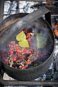 Tee kochen auf dem offenen Feuer, Kamtschatka, Russland